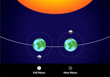 Moon Around the Earth with Sun and Lunar Phases of Full and New Moon Colorful Illustration clipart