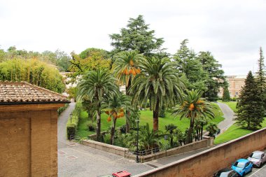 Roma, İtalya - 15 Eylül 2022: Vatikan Bahçeleri 'nde Palmiye ağaçlarının manzarası, Roma, İtalya