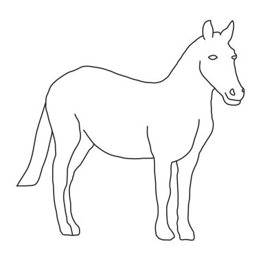 At Dış Hattı İnce Çizim