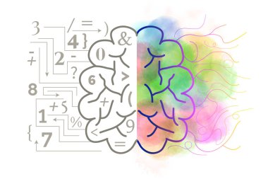 Hoş Sol ve Sağ Beyin Renkli Görüntü