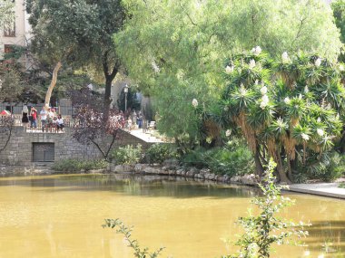 Barselona, İspanya - 14 Ağustos 2012: Barcelona, İspanya 'daki Placa de Gaudi Parkı