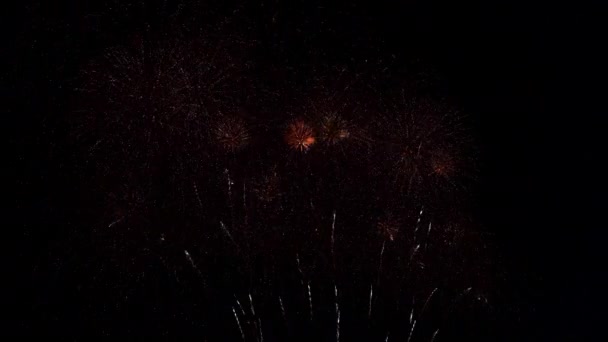Крупный План Фейерверков Взрывающихся Ночном Небе — стоковое видео