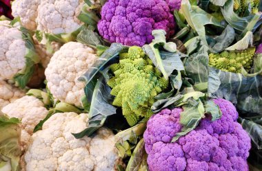 A selection of various types of cauliflower, including romanesco, regular and purple clipart