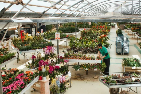 stock image Wide-angle shot of a garden center, with plants and flowers for sale