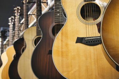 Taylor marka akustik gitar koleksiyonu arka arkaya asılıyor.