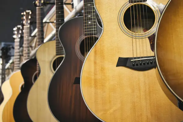 Taylor marka akustik gitar koleksiyonu arka arkaya asılıyor.