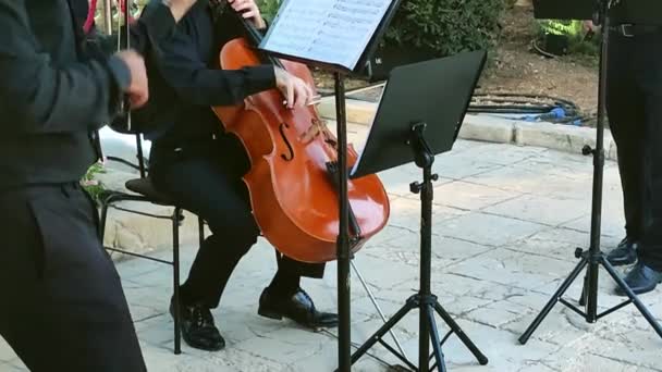 クラシック音楽で演奏されているチェロのクローズアップ 1つのセリストと2つのバイオリニスト — ストック動画