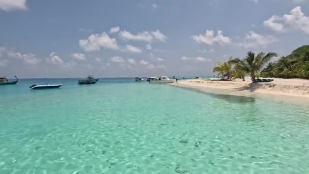 Ilha Tropical Ilha Fulidhoo Maldivas — Vídeo de Stock