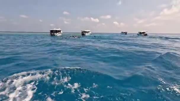 Velocidades Navios Cruzeiro Mar Das Maldivas — Vídeo de Stock