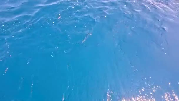 马尔代夫附近低潮中海浪的缓慢运动 — 图库视频影像