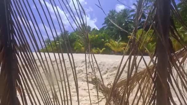 Пляж Долонь Сході Сонця Мальдівах Місцевий Острів — стокове відео