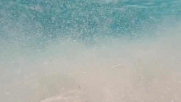 Podwodna Szkoła Ryb Malediwach Ocean Indyjski Wideo — Wideo stockowe