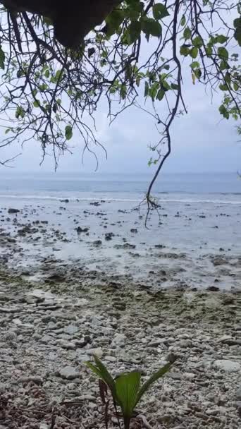 Serene Atoll Tropisk Strand Maldiverna Atoll Med Vit Sand — Stockvideo