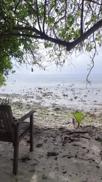 Serene Atoll Tropisk Strand Maldiverna Dhaalu Atoll — Stockvideo
