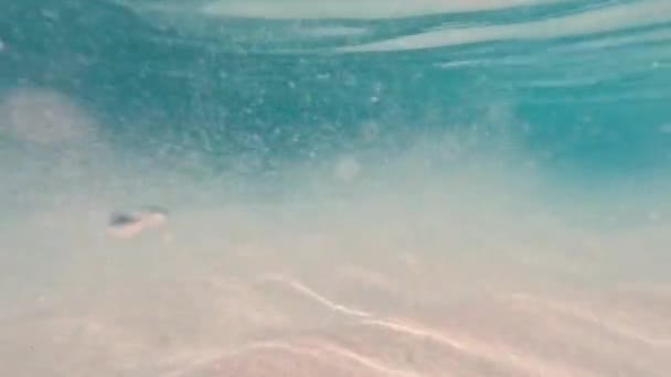 Λαμπερή Άμμος Βαθιά Νερά Κάτω Από Νερό Στις Μαλδίβες Ινδικού — Αρχείο Βίντεο
