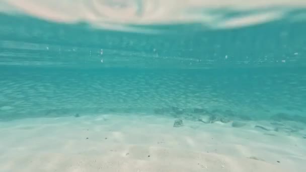 Eiland Strand Onderwater School Van Vissen Malediven Eiland — Stockvideo