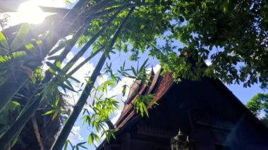 Chiang Rai Tayland 'daki Kara Ev veya Baan Baraj Müzesi