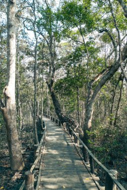 Sundarban Karamjal wooden walkway in Karamjal Wildlife Breeding Center clipart