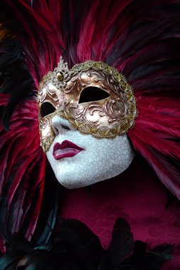 Venedik Karnaval Maskesi Tüylü ve nakışlı Mardi Gras Maskeli