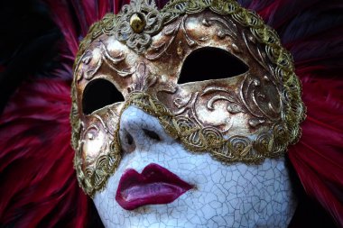 Venedik Karnaval Maskesi Tüylü ve nakışlı Mardi Gras Maskeli