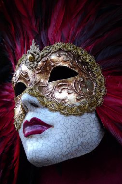 Venedik Karnaval Maskesi Tüylü ve nakışlı Mardi Gras Maskeli