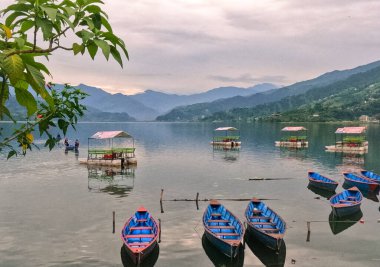 Himalaya sıradağları ve Pokhara Nepal 'deki Phewa Gölü' nün renkli tekneleri