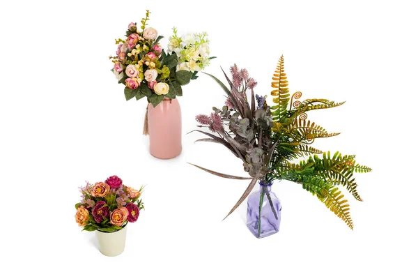 Rosen Pflanzen Und Andere Blumen Töpfen Und Vasen Auf Weißem — Stockfoto