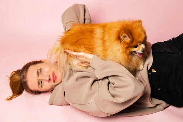 Funny and adorable Pomeranian Spitz sitting on its owner and she is trying to move its away. Isolated on pink background.