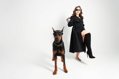 Zincirli genç, güzel bir doberman ve sahibi, uzun siyah ceketli, parlak kırmızı rujlu zarif bir kız, bir ayakkabısını kaybetmiş. Beyaz bir arkaplanda izole edilmiş.