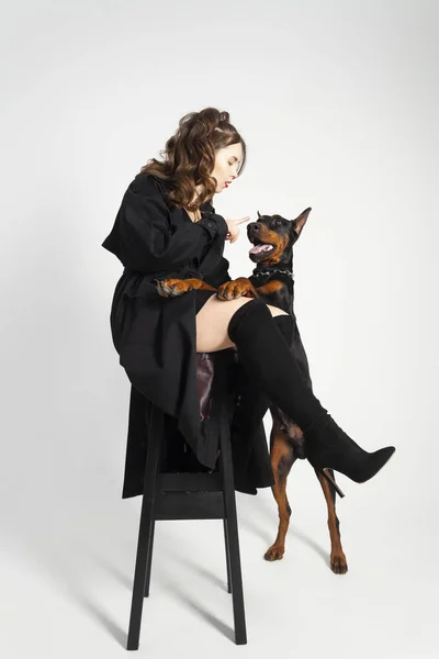 stock image A young beautiful Doberman with a chain around his neck and his owner, elegant girl in a long black coat and bright red lipstick. Isolated on a white background.