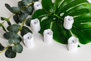 Beyaz arka planda izole edilmiş taze tropikal yapraklar ve mumların karışımı..