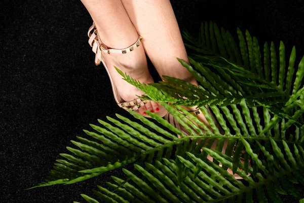 Close Beautiful Woman Feet Tropical Plants Leaves — Stock Photo, Image