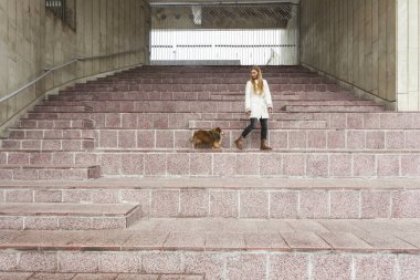 Sarışın genç bir kız ve minyatür köpeği, sokakta yürüyorlar, uzun adımlarla ayakta duruyorlar..