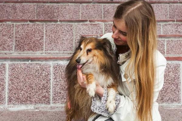 Ein Junges Blondes Mädchen Und Ihr Kleiner Sheltie Hund Die — Stockfoto