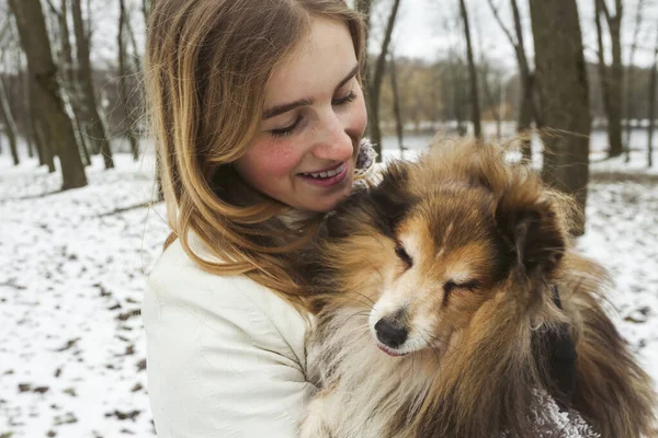 Молодая Блондинка Миниатюрная Шелти Собака Гуляющая Снежном Лесу Парке Наслаждаясь — стоковое фото