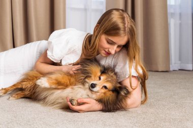 Sevimli yaşlı Minyatür Sheltie köpeği ve sahibi, sevimli sarışın kız içeride birlikte vakit geçiriyorlar. Güçlü bir dostluk ve evcil hayvanla eğlenceli bir eğlence..