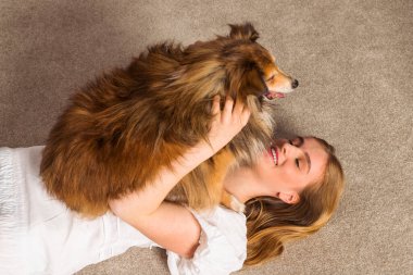Sevimli yaşlı Minyatür Sheltie köpeği ve sahibi, sevimli sarışın kız içeride birlikte vakit geçiriyorlar. Güçlü bir dostluk ve evcil hayvanla eğlenceli bir eğlence..