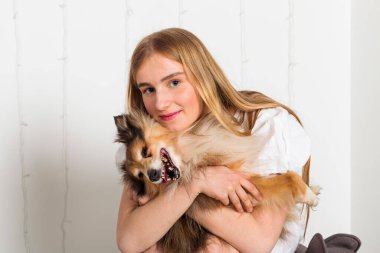 Sevimli yaşlı Minyatür Sheltie köpeği ve sahibi, sevimli sarışın kız içeride birlikte vakit geçiriyorlar. Güçlü bir dostluk ve evcil hayvanla eğlenceli bir eğlence..