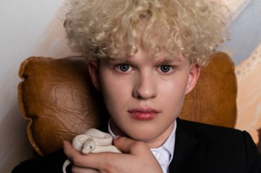 Şık sarı saçlı genç adam ve Leucistik Balo Pitonu. Saf beyaz yılan, işadamlarının elinde..