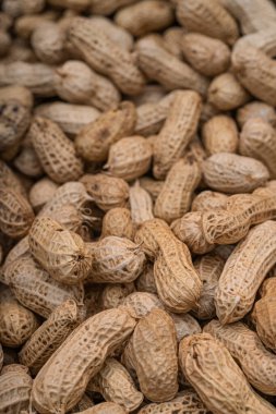 Taze hasat edilmiş ve çerçeveyi dolduran güneşte kurutulmuş fıstık. Web siteleri, tarım blogları, ambalaj tasarımı veya tarımla ilgili dergi makaleleri için ideal