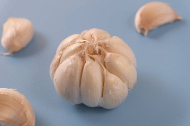 Parlak mavi arka planda duran taze bir sarımsak ampulü. Yemek blogları, sağlıklı beslenme maddeleri ya da mutfak ürünleri promosyonları için temiz ve enerjik görünüm.