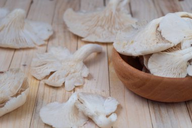 Taze istiridye mantarları ya da yumuşak desenli ve soluk renkli tiram mantarları vejetaryen yemekleri, yemek malzemeleri ya da organik gıda görselleri için mükemmeldir.