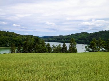 Field ve Ostrzyckie Gölü arka planda. Wiezyca Doğa, Kashubian Bölgesi, Polonya. Doğa, seyahat ve tarım kavramı.