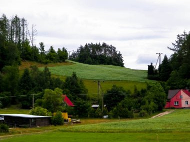 Kashubi 'deki tepeler, kuzey Polonya. Tipik Wiezyca manzarası. Seyahat ve doğa kavramı.