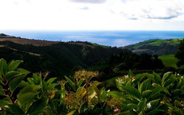 Azores adaları Sao Miguel 'in vahşi doğası. Arka planda Atlantik Okyanusu. Azores Portekiz 'in otonom bölgesi olan küçük bir takımadalardır..