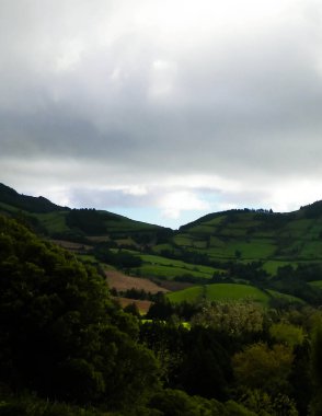 Azores adaları Sao Miguel 'in vahşi doğası. Dağlar, otlaklar, çayırlar ve tropikal ormanlar. Azores Portekiz 'in otonom bölgesi olan küçük bir takımadalardır..