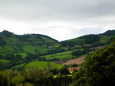 Azores adaları Sao Miguel 'in vahşi doğası. Dağlar, otlaklar, çayırlar ve tropikal ormanlar. Azores Portekiz 'in otonom bölgesi olan küçük bir takımadalardır..