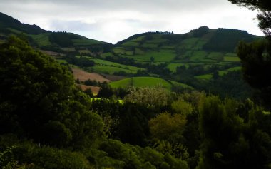 Azores adaları Sao Miguel 'in vahşi doğası. Dağlar, otlaklar, çayırlar ve tropikal ormanlar. Azores Portekiz 'in otonom bölgesi olan küçük bir takımadalardır..