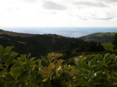 Azores adaları Sao Miguel 'in vahşi doğası. Arka planda Atlantik Okyanusu. Azores Portekiz 'in otonom bölgesi olan küçük bir takımadalardır..