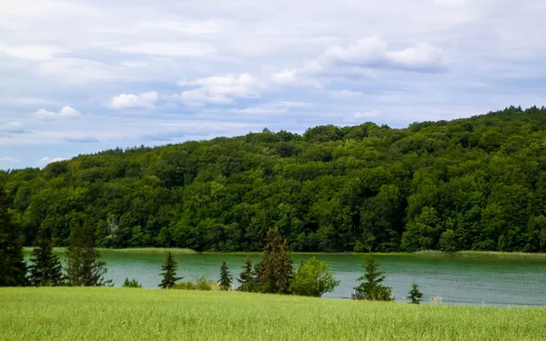 Field Ostrzyckie Gölü Arka Planda Wiezyca Doğa Kashubian Bölgesi Polonya — Stok fotoğraf